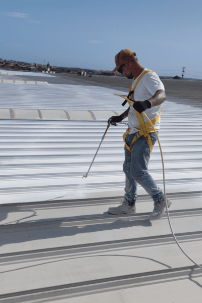 Captura de tela 2024-12-02 063336