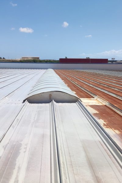 IMG_20231209_094904 (1)